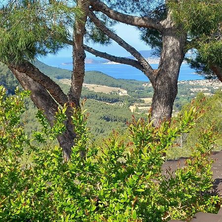 La Villa Entre Terre Et Mer Saint-Côme 外观 照片